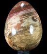 Giant Polished Petrified Wood Egg - Lbs #90431-2